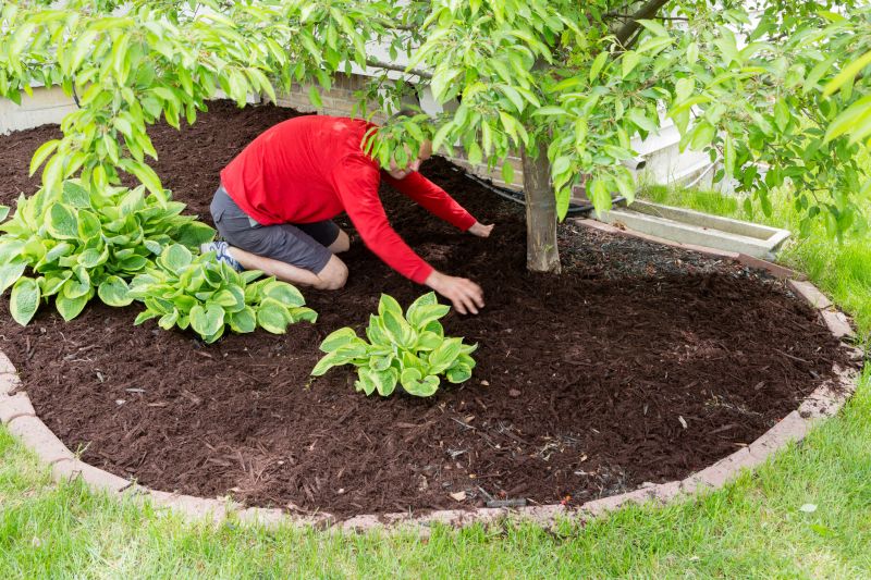 Summer Mulch Application
