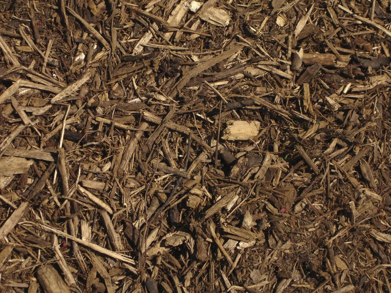 Specialized Mulch Suppliers